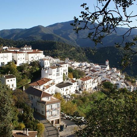 Apartamentos Rurales Jardines Del Visir Genalguacil Exteriér fotografie
