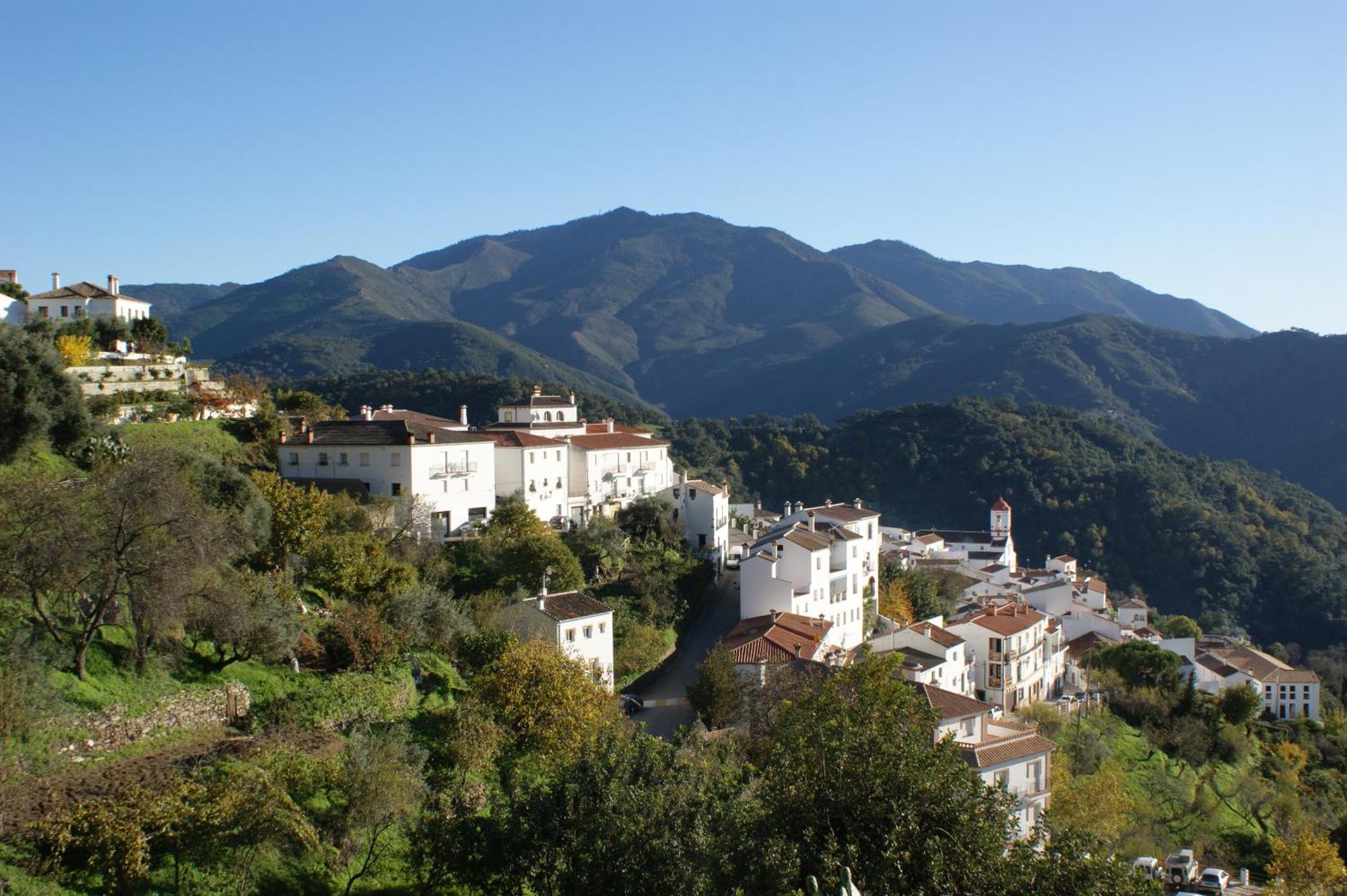 Apartamentos Rurales Jardines Del Visir Genalguacil Exteriér fotografie