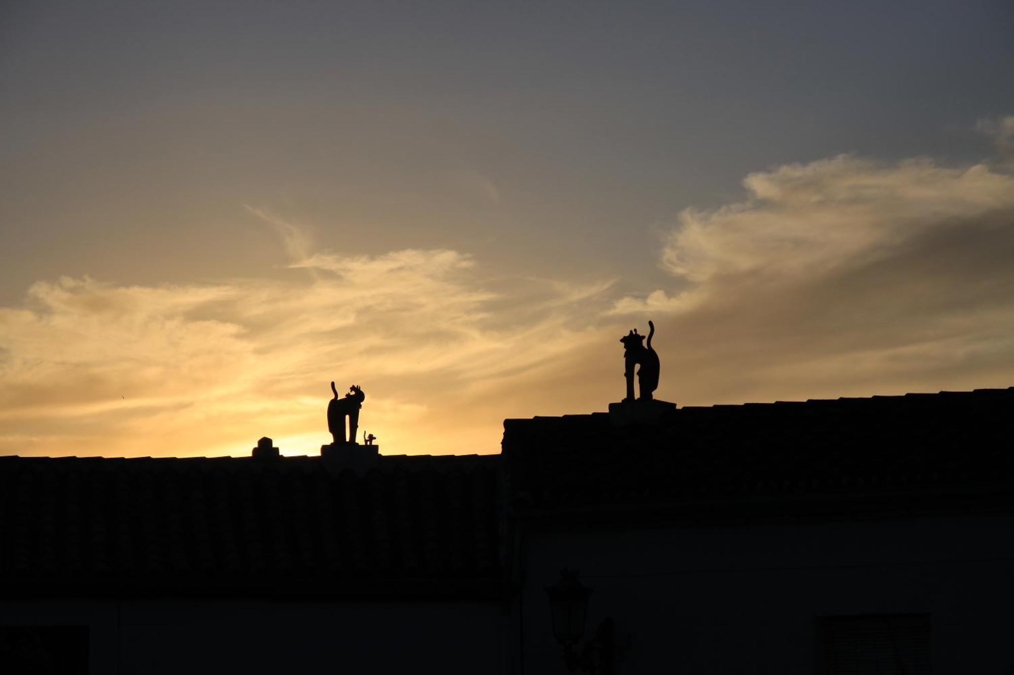 Apartamentos Rurales Jardines Del Visir Genalguacil Exteriér fotografie