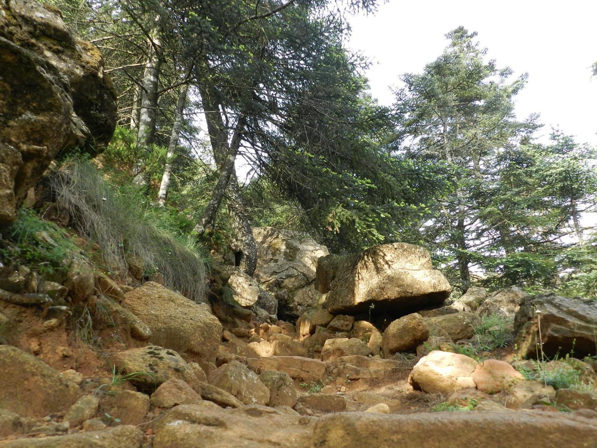 Apartamentos Rurales Jardines Del Visir Genalguacil Exteriér fotografie