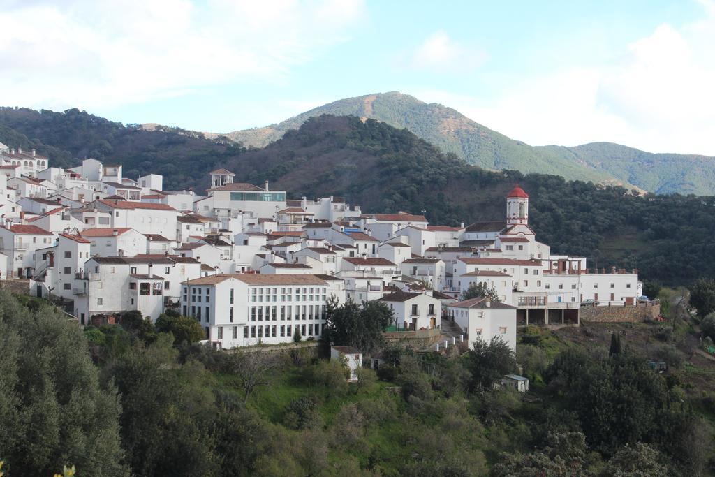 Apartamentos Rurales Jardines Del Visir Genalguacil Exteriér fotografie