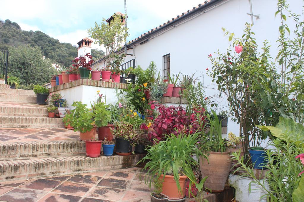 Apartamentos Rurales Jardines Del Visir Genalguacil Exteriér fotografie