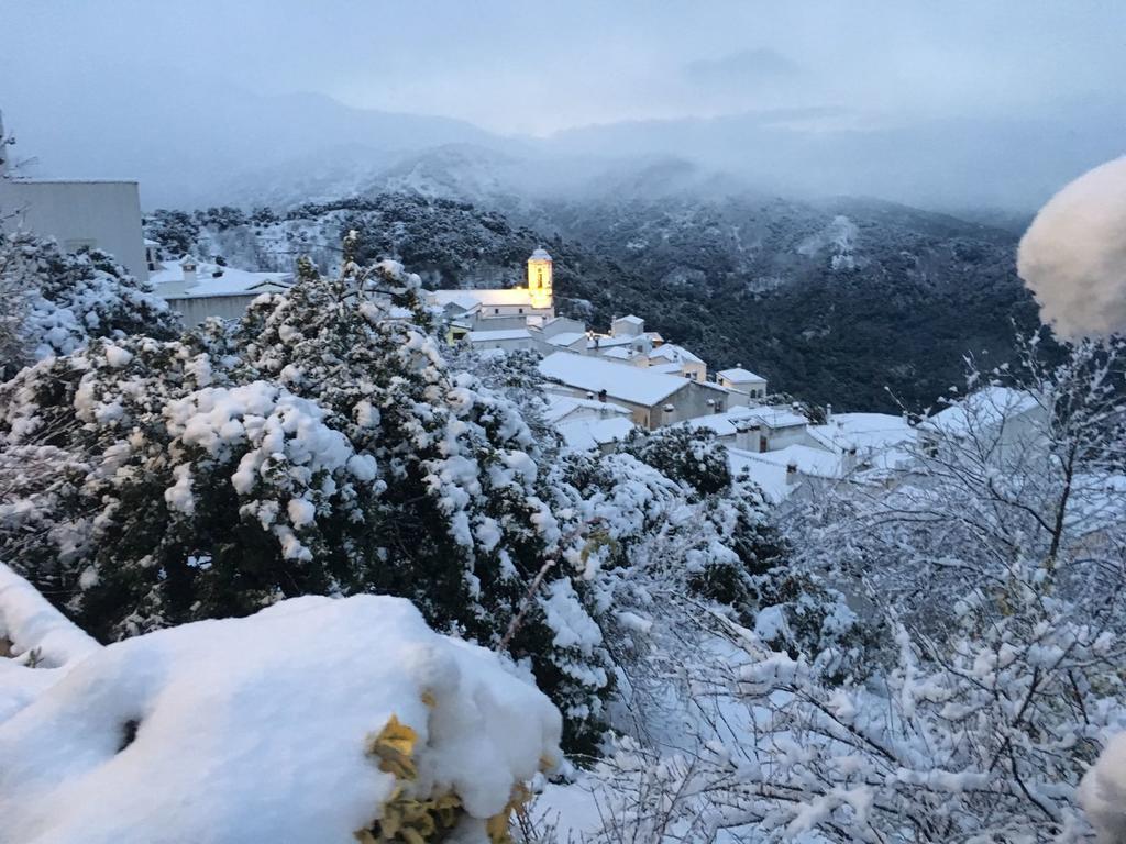 Apartamentos Rurales Jardines Del Visir Genalguacil Exteriér fotografie