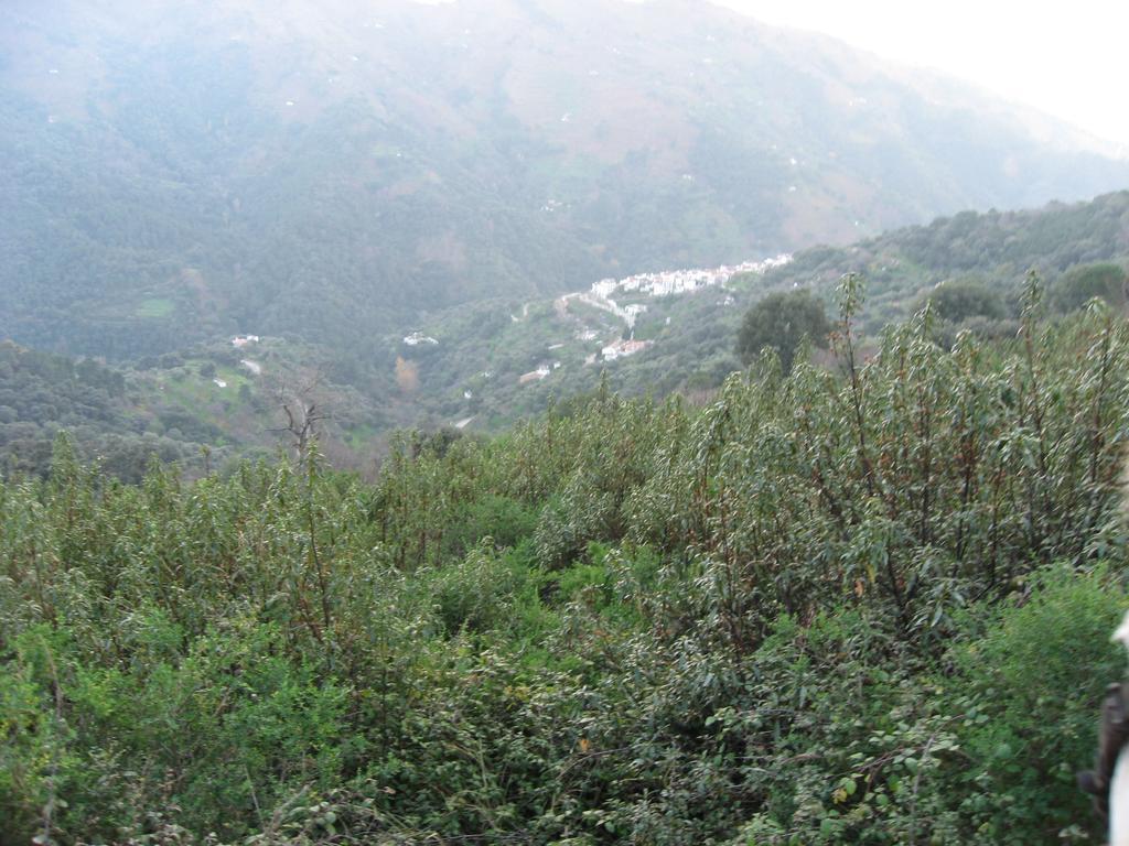 Apartamentos Rurales Jardines Del Visir Genalguacil Exteriér fotografie