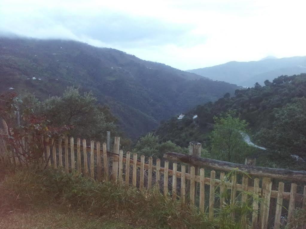 Apartamentos Rurales Jardines Del Visir Genalguacil Exteriér fotografie